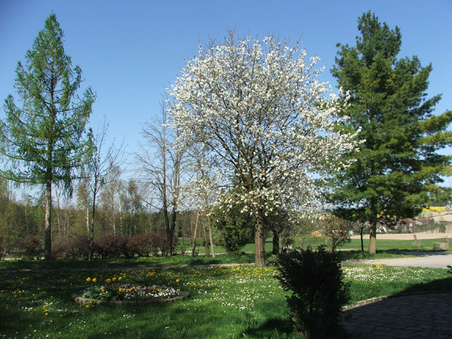 Frühling am Penta-Stable